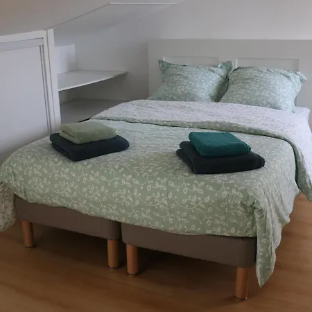 Appartement Et Salles D'eau Privees Dans Maison A Partager Centre