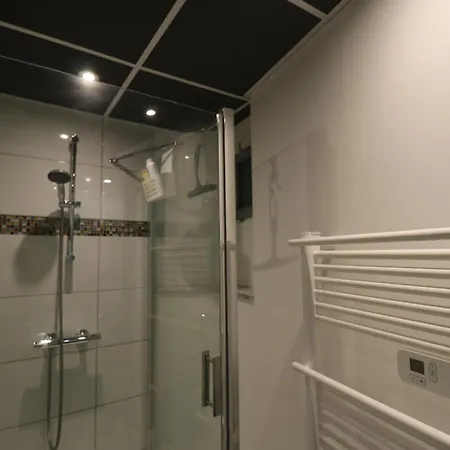 Appartement Et Salles D'eau Privees Dans Maison A Partager Centre Clermont-Ferrand