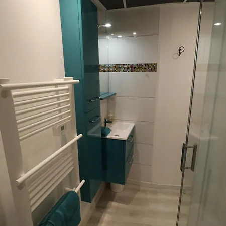Et Salles D'eau Privees Dans Maison A Partager Centre *
