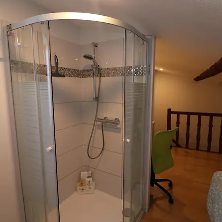 Et Salles D'eau Privees Dans Maison A Partager Centre Appartement