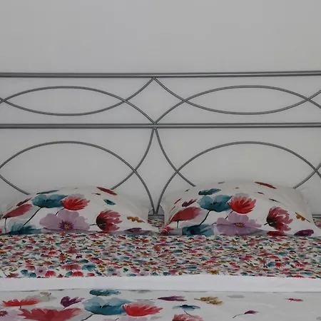 Et Salles D'eau Privees Dans Maison A Partager Centre Appartement *