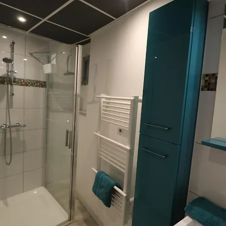Et Salles D'eau Privees Dans Maison A Partager Centre Appartement